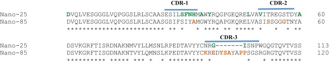 FIG 1