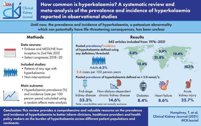 Graphical Abstract