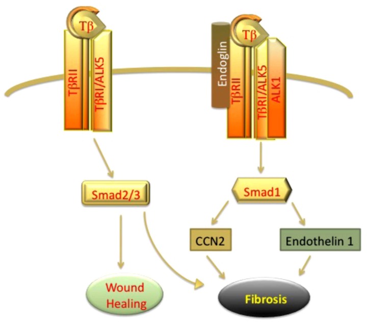 Fig. (3)