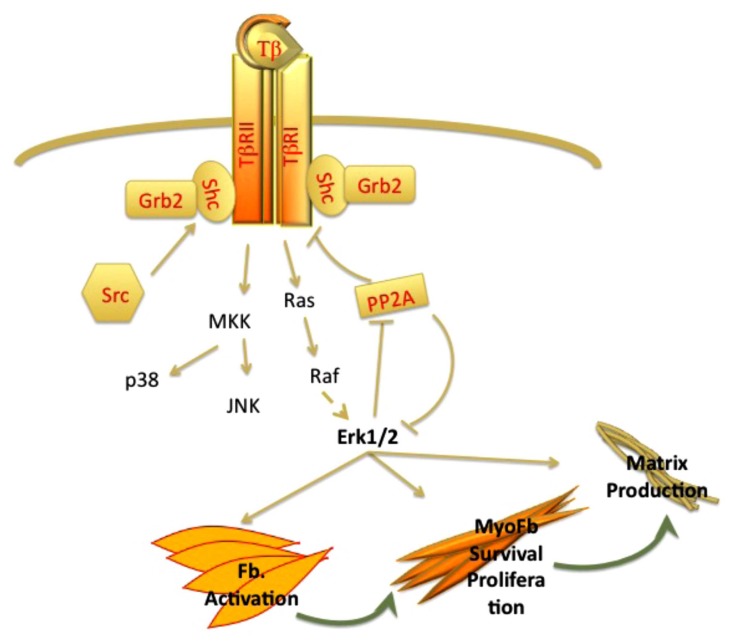 Fig. (1)