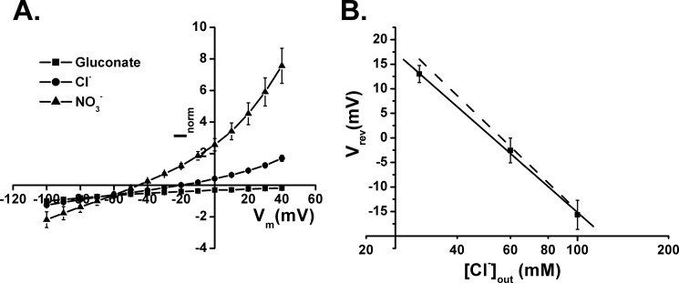 FIGURE 7.