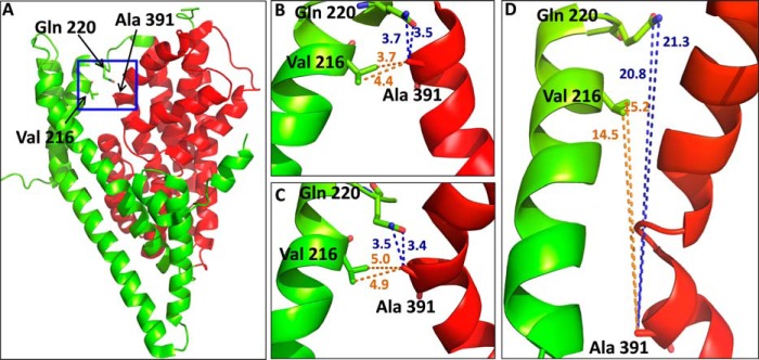 FIGURE 1.