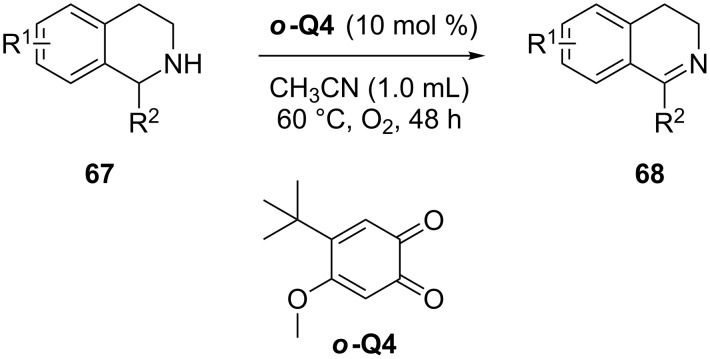 Scheme 19