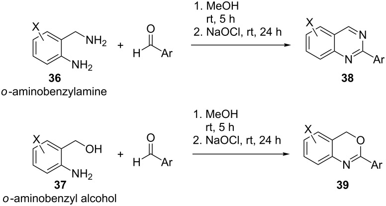 Scheme 10