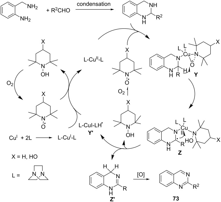 Scheme 23