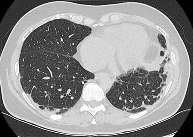 graphic file with name 108_2023_1517_Fig5_HTML.jpg