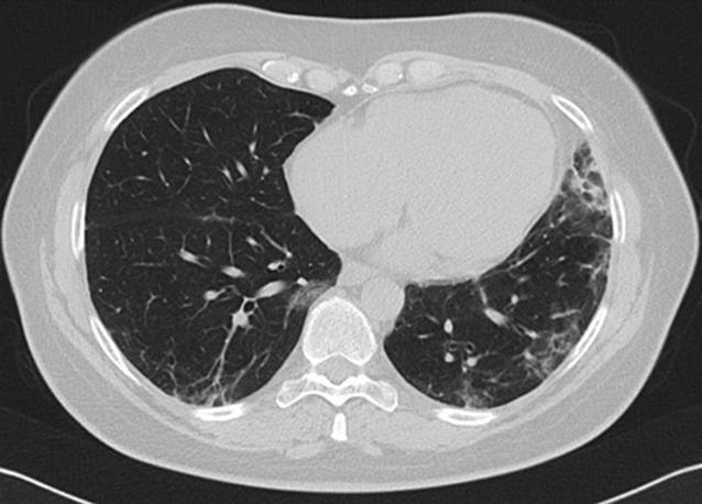 graphic file with name 108_2023_1517_Fig8_HTML.jpg