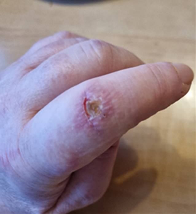 graphic file with name 108_2023_1517_Fig3_HTML.jpg