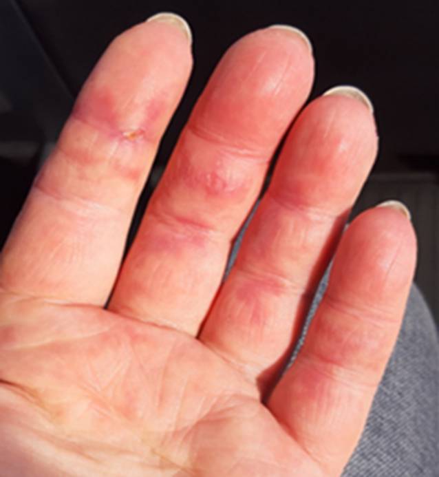 graphic file with name 108_2023_1517_Fig2_HTML.jpg