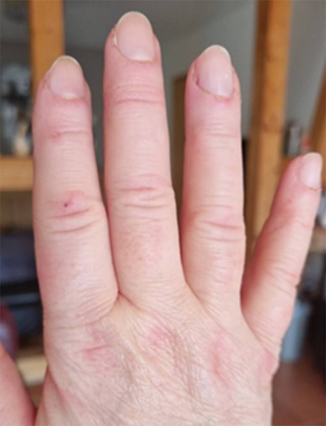 graphic file with name 108_2023_1517_Fig7_HTML.jpg