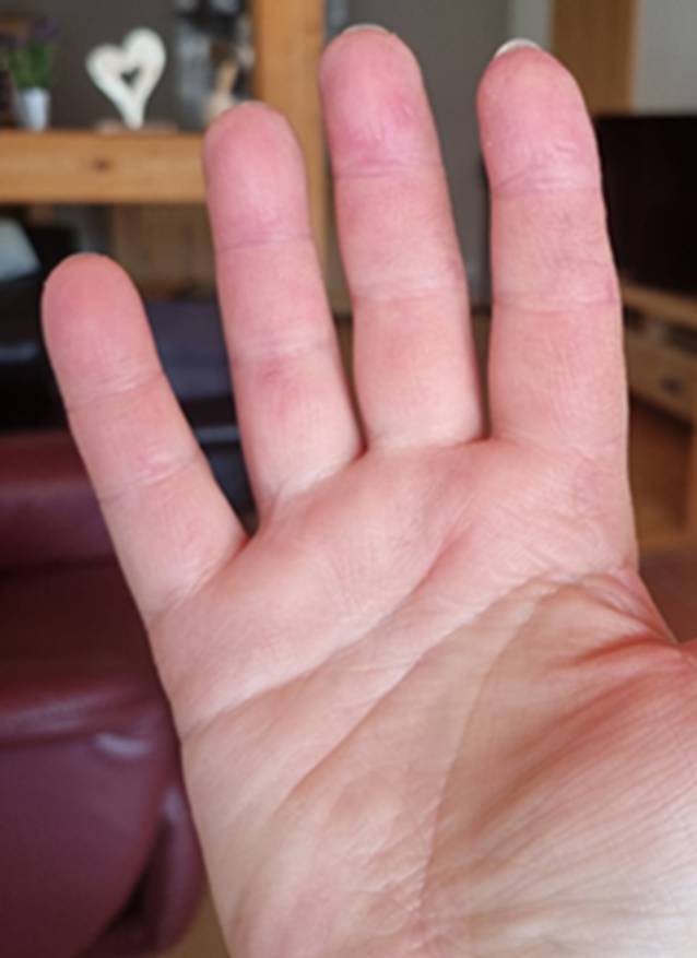 graphic file with name 108_2023_1517_Fig6_HTML.jpg