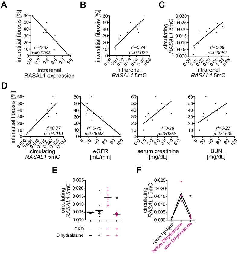 Fig. 10