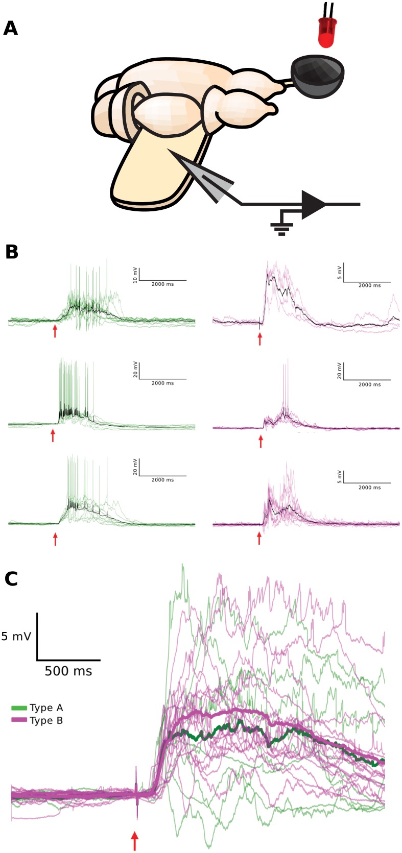 Fig 8