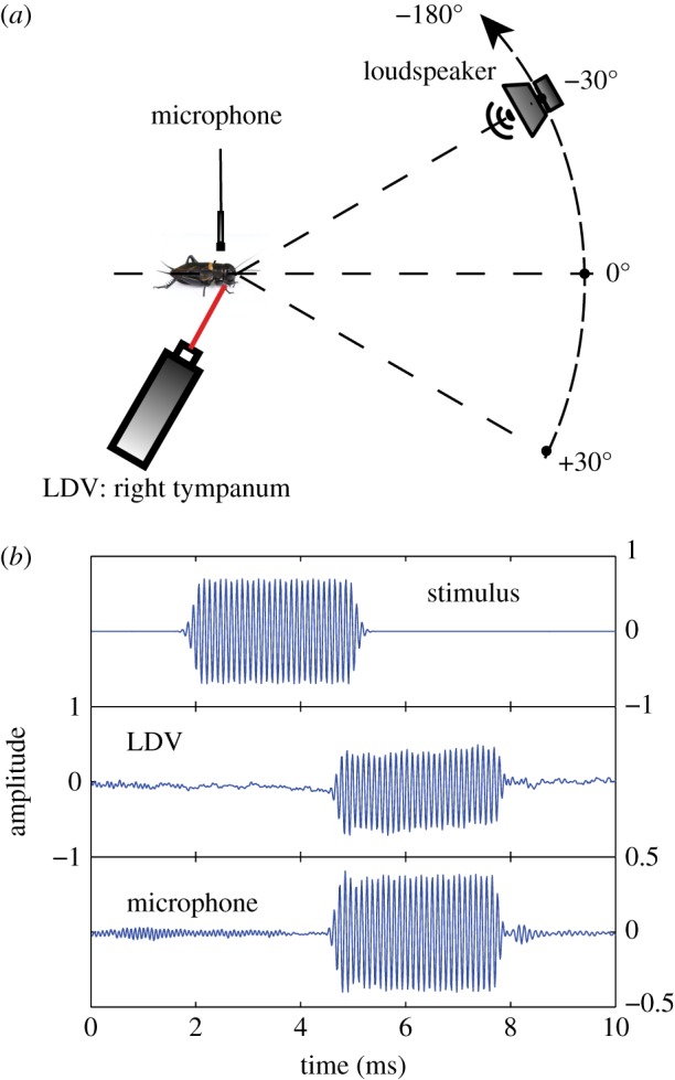 Figure 2.