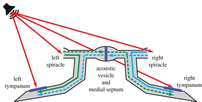 Figure 1.