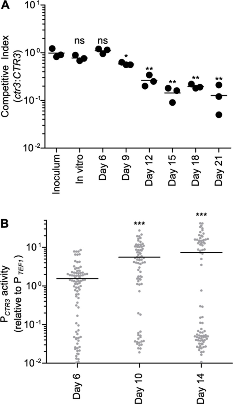 Fig 5