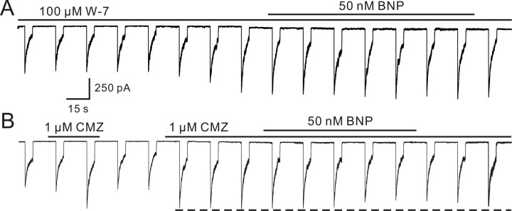 
Figure 10.
