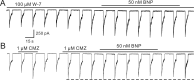 Figure 10.