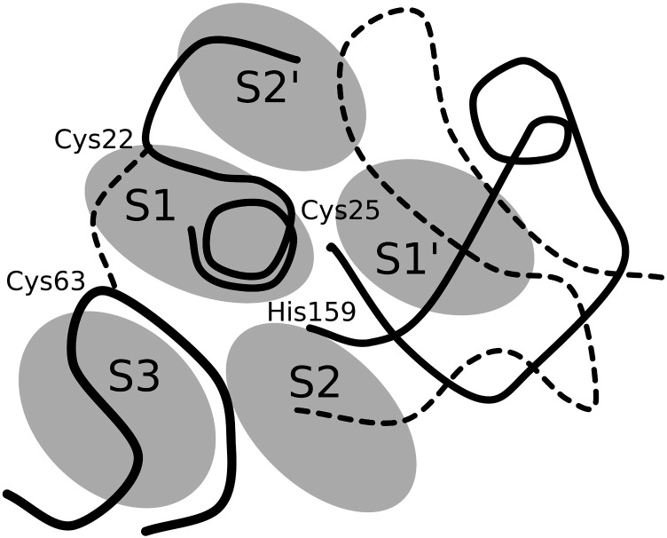 Fig. 1