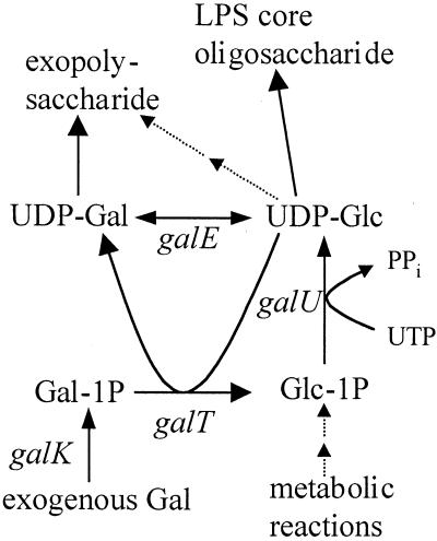 FIG. 6