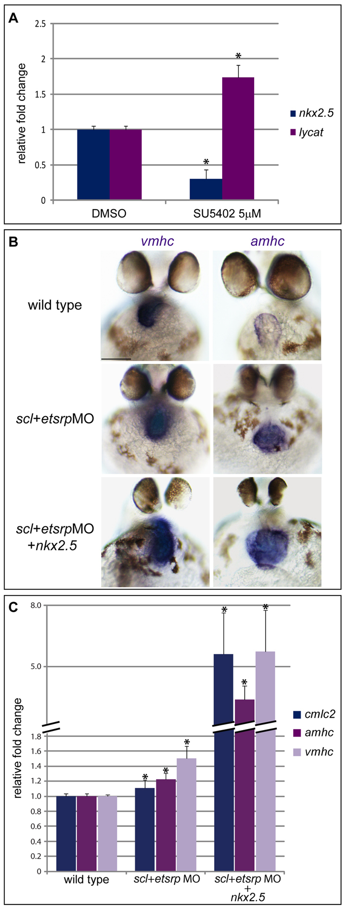 Fig. 5.