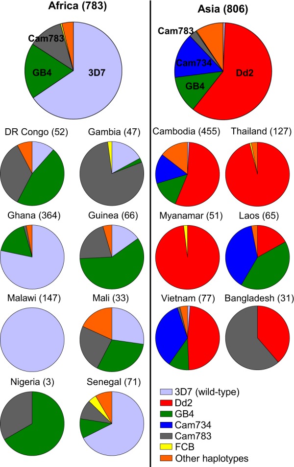 FIG 1