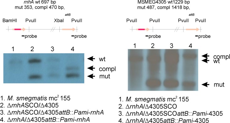 Fig 4