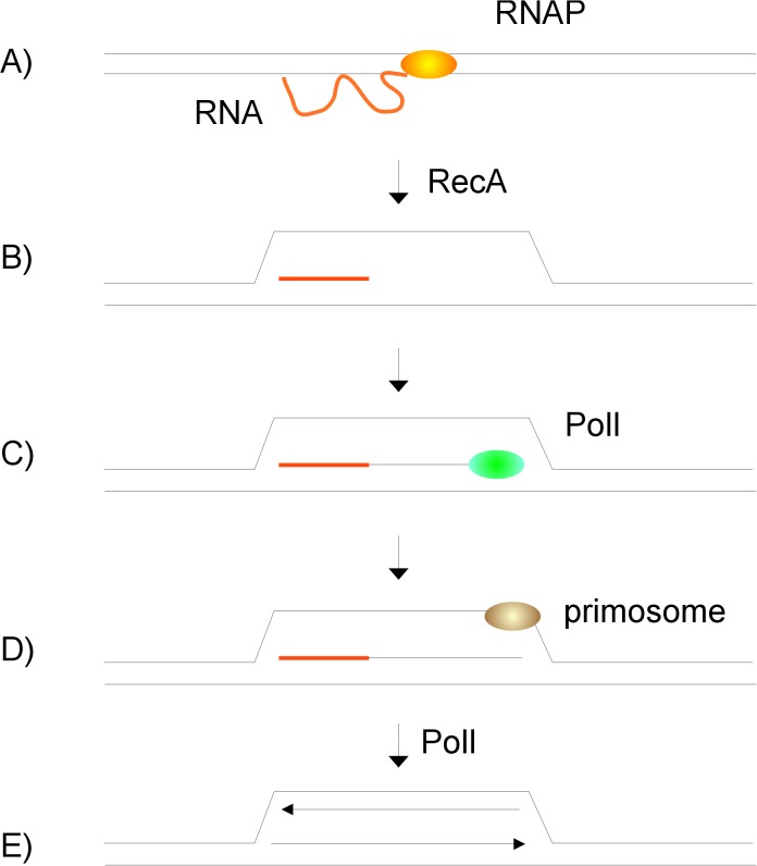 Fig 8