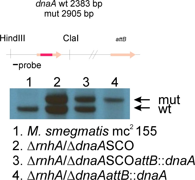 Fig 9