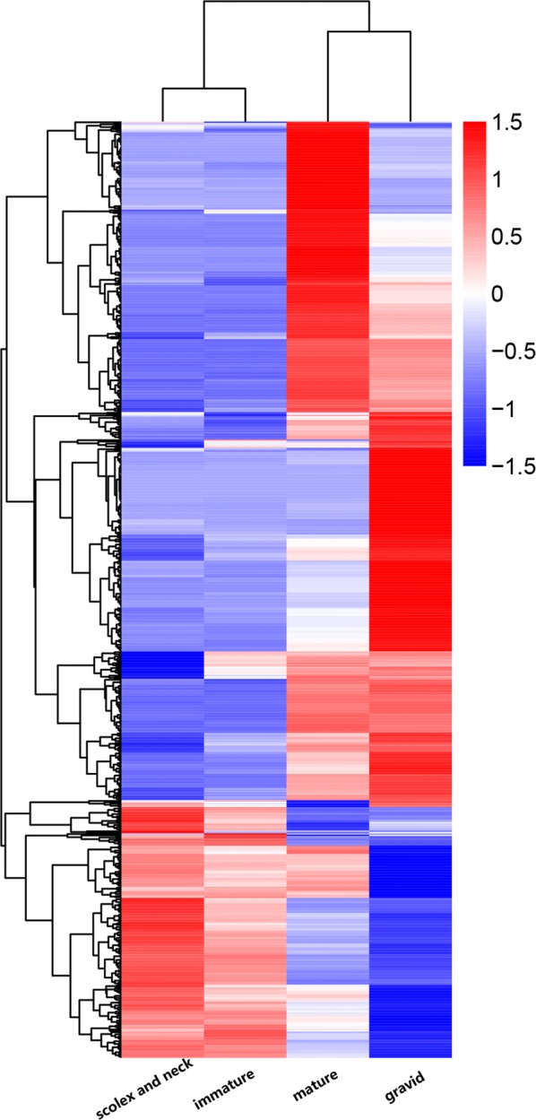 Fig. 3