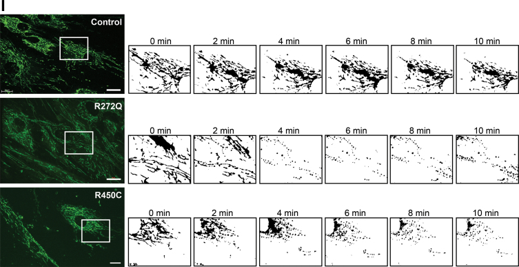 graphic file with name ars.2018.7718_figure2.jpg