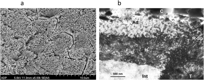 Fig. 12