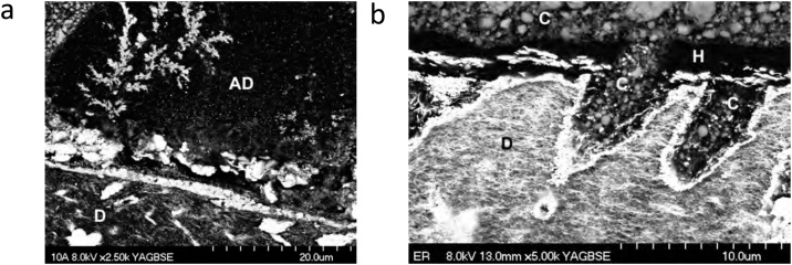 Fig. 14