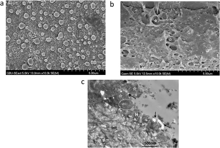 Fig. 13