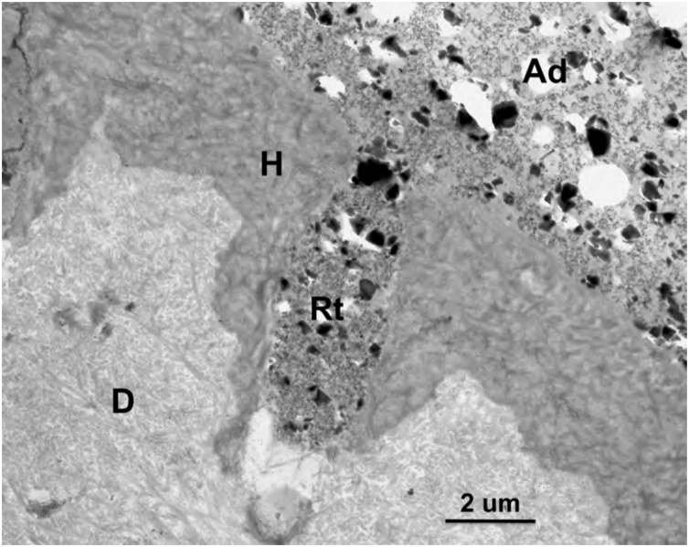 Fig. 8