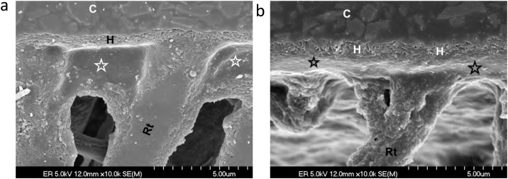 Fig. 15