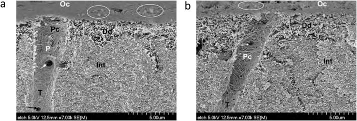 Fig. 9