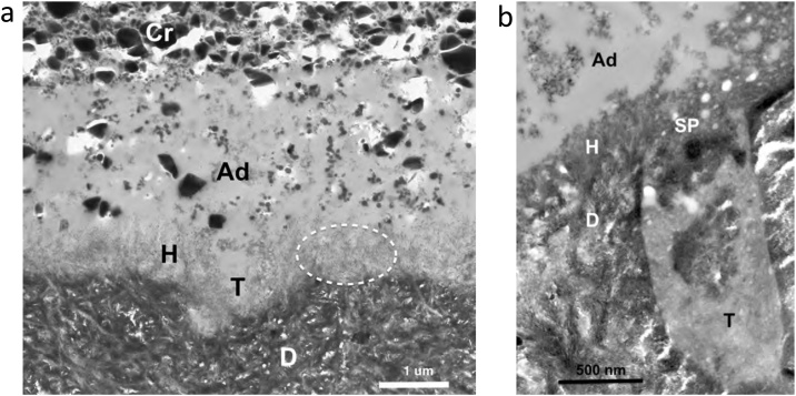 Fig. 10