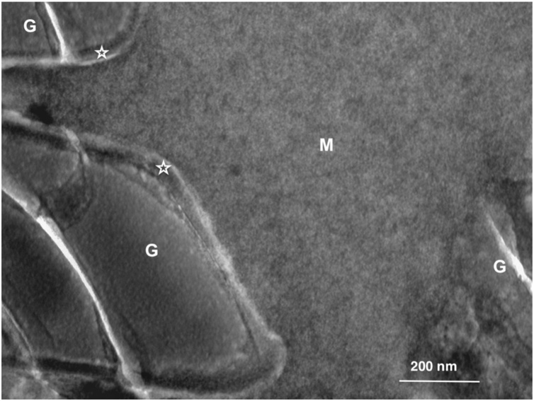 Fig. 17