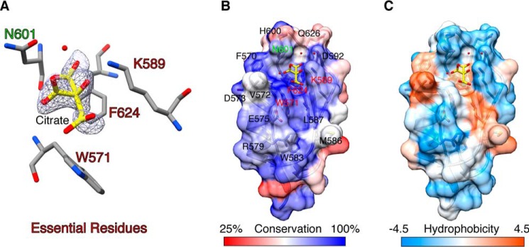 FIGURE 3.