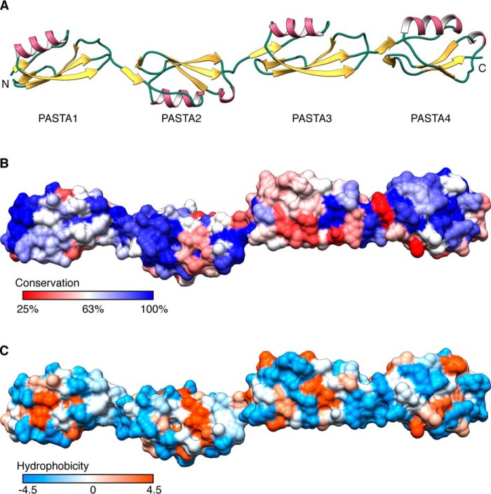 FIGURE 2.