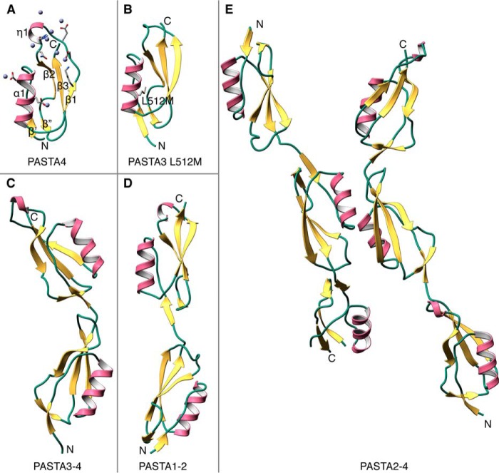 FIGURE 1.