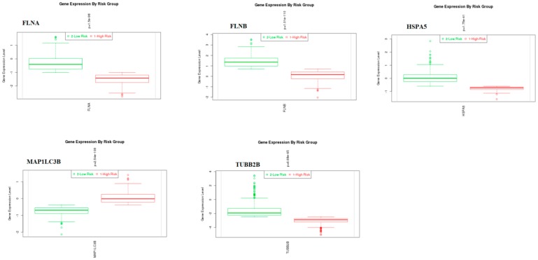 Figure 20