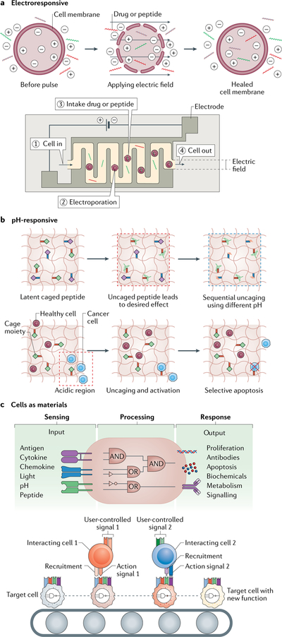 Fig. 7 |