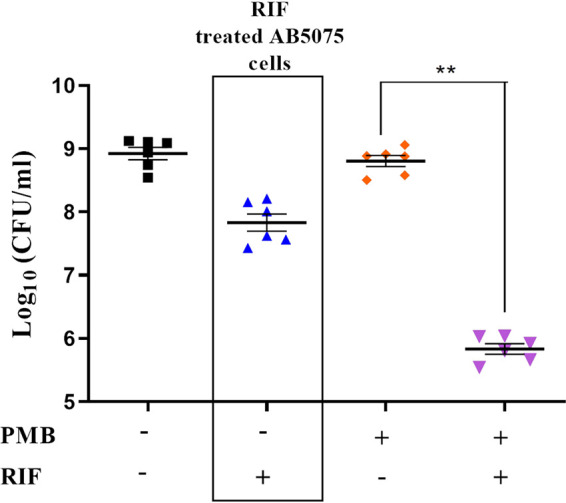 FIG 6