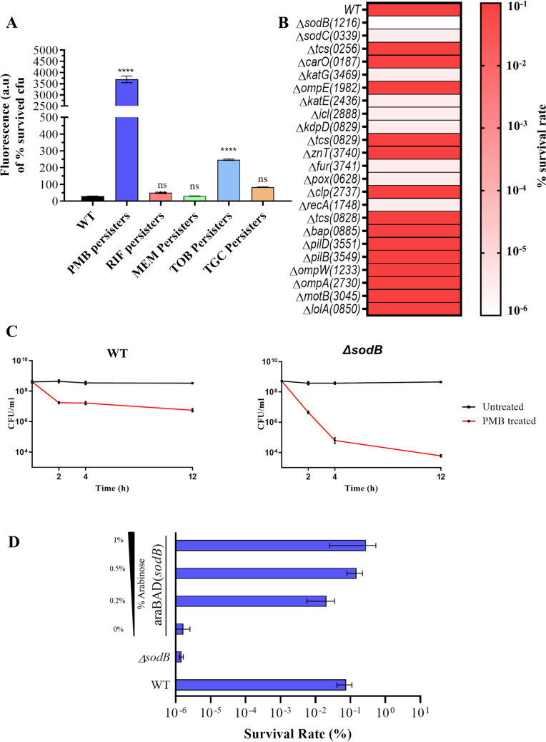 FIG 3