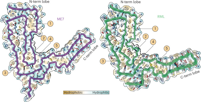 Fig. 4