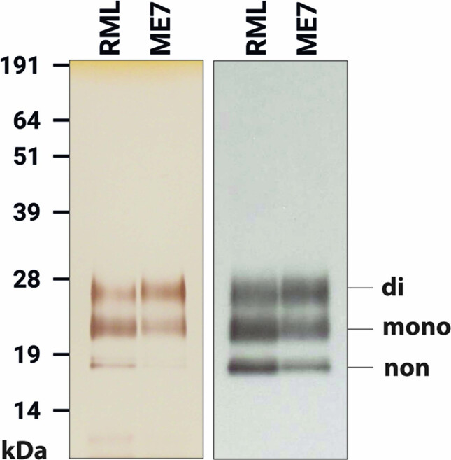 Extended Data Fig. 1