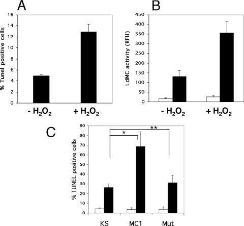 FIG. 9.