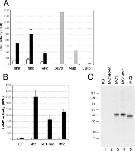 FIG. 6.